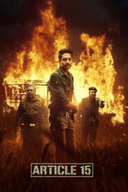 Article 15 (2019) Hindi