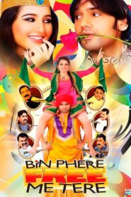 Bin Phere Free Me Tere (2013) Hindi HD