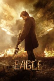 Eagle (2024) Hindi Dubbed PRE DVD