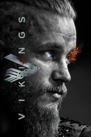 Vikings (2019) Hindi Season 6 Part 1 Complete