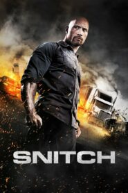 Snitch (2013) Hindi Dubbed