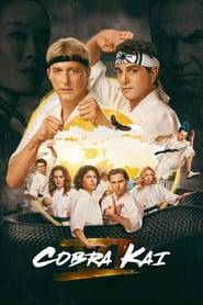 Cobra Kai (2024) Hindi Season 6 Complete