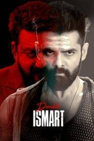 Double iSmart (2024) Hindi Dubbed WebRip